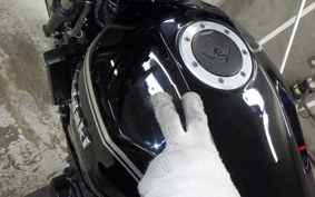 KAWASAKI ZRX-2 2009 ZR400E