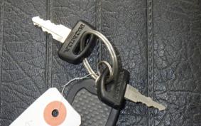 HONDA CT110 HUNTER CUB 2019