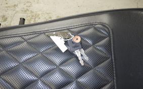 HARLEY XL1200NS 2020