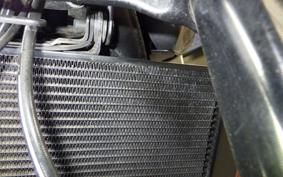 TRIUMPH TRIDENT 660 2024