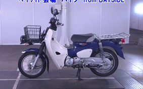 OTHER C110PU LOW 3
