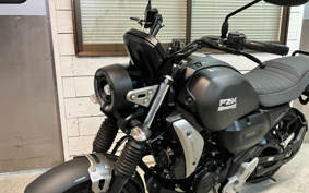 YAMAHA FZ-X RG73