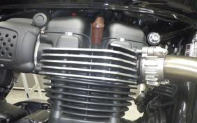 TRIUMPH BONNEVILLE T100 2021