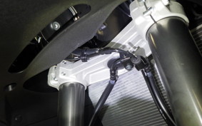 KAWASAKI NINJA1100SX 2025