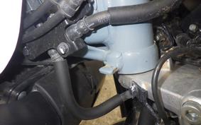 HONDA MONKEY 125