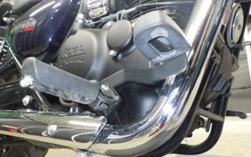 OTHER +ENFIELD ﾒﾃｵ350 2022