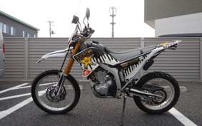 YAMAHA WR250R DG15J
