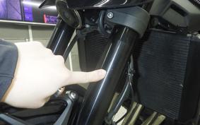 KAWASAKI Z900RS CAFE 2021 ZR900C