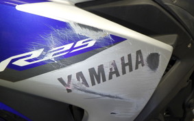 YAMAHA YZF-R25 2010 RG10J