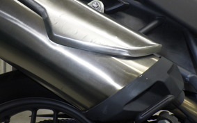 TRIUMPH TIGER 800 2012