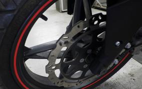 OTHER +ﾒｶﾞﾘ250R 2000