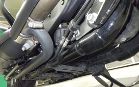 HARLEY XL883N 2019