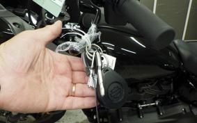 HARLEY FXLRST1920 2024
