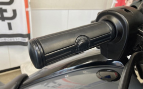 HARLEY HARLEYFLHXS 2022 KRP