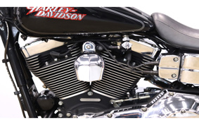 HARLEY FXDL 2004 GDV