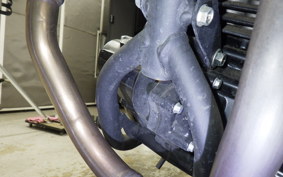 KAWASAKI KLX230SM 2006 LX232A