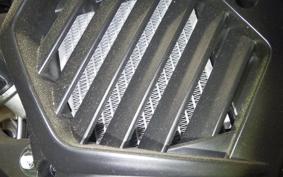 HONDA GIORNO 3 2015 AF77