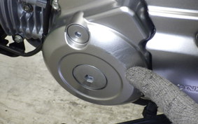 HONDA MONKEY 125 2024 JB05