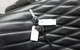 HONDA REBEL 1100 2024 SC83