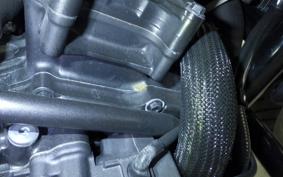 HONDA REBEL 1100 DCT 2021 SC83