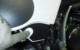 SUZUKI TS185 2011