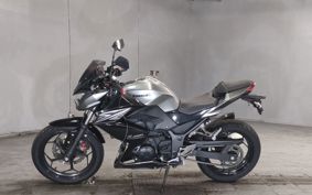 KAWASAKI Z250 ER250C