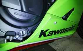 KAWASAKI NINJA 250 2 2021 EX250Y