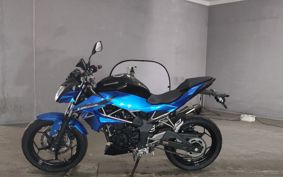 KAWASAKI Z250 SL BR250E