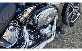 HARLEY FXSTC1340 2010 JL5