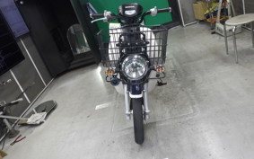 HONDA C110 SUPER CUB 2014 JA10
