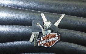 HARLEY XL1200XS 2019