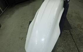 YAMAHA TT250R RAID 4GY