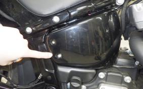 HARLEY FXST1750 2022