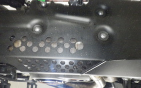 OTHER +HD. ﾊﾟﾝ AMERICA1250S 2022