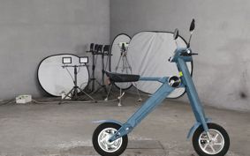 OTHER BLAZE SMART EV BLAZE