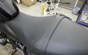 TRIUMPH TRIDENT 660 2025