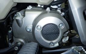 HONDA CT125 HUNTER CUB 2024 JA55