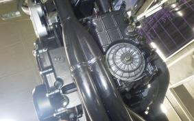 HONDA HORNET 250 1989 MC31