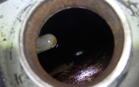 OTHER +RABBIT125 2023 S301