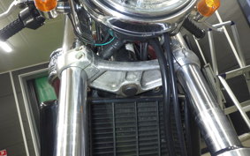 TRIUMPH THUNDERBIRD 900 1996