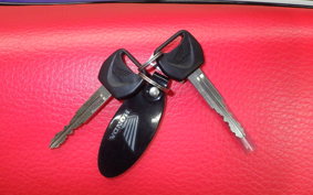 HONDA CRF250 RALLY 2002 MD44