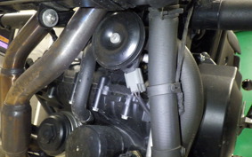 HARLEY X500 2024