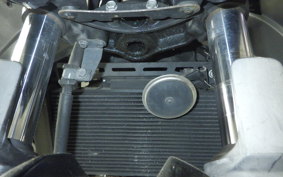 KAWASAKI Z250 2021 ER250C