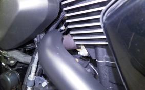 HARLEY XG750 STREET 2015