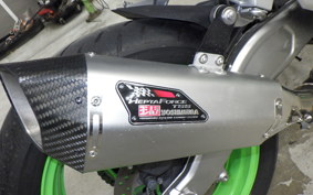 KAWASAKI ZX-4RR 2024 ZX400P