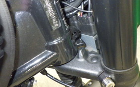 TRIUMPH BONNEVILLE T120 2021