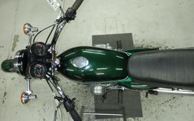 KAWASAKI 250SS 2010 S1F