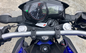 YAMAHA MT-25 RG10J