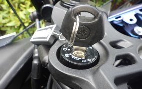 YAMAHA YZF-R25 A RG95J