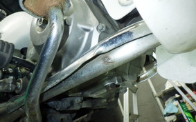 HONDA C50 SUPER CUB 2024 C50